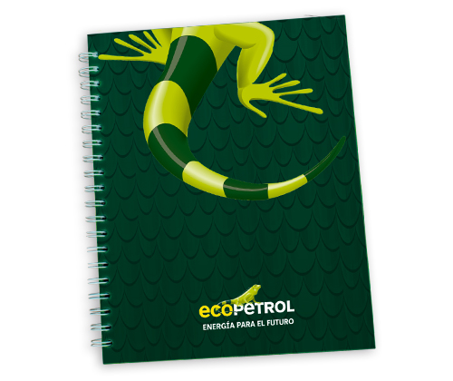 Ecopetrol Promocionales